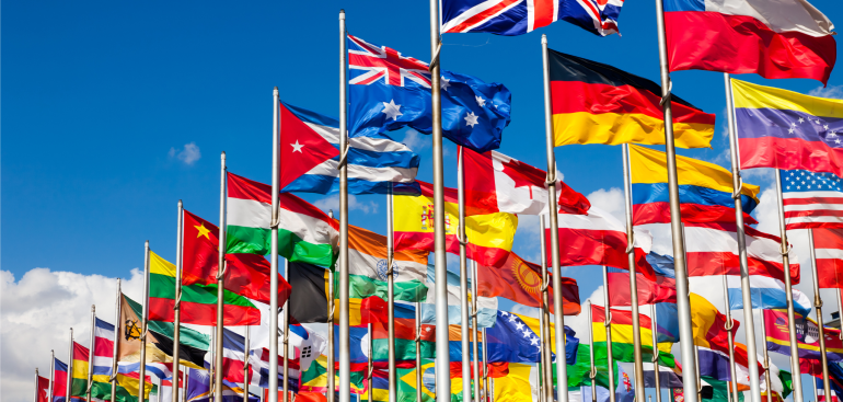 International Taxation