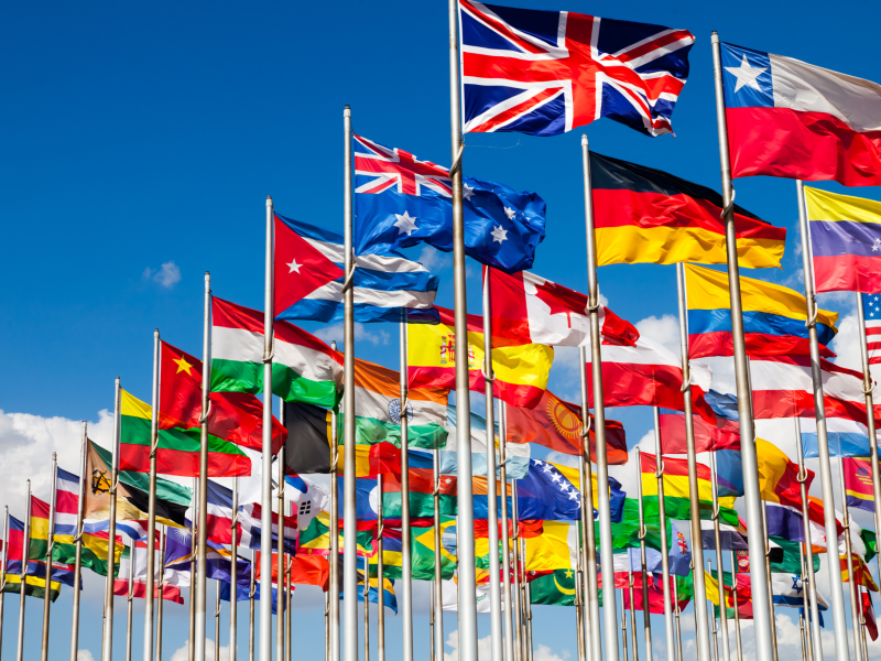 International Taxation